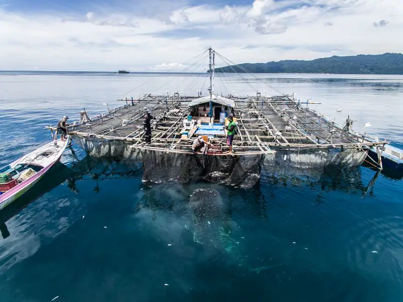 Bagan Fishing Platform in Indonesia