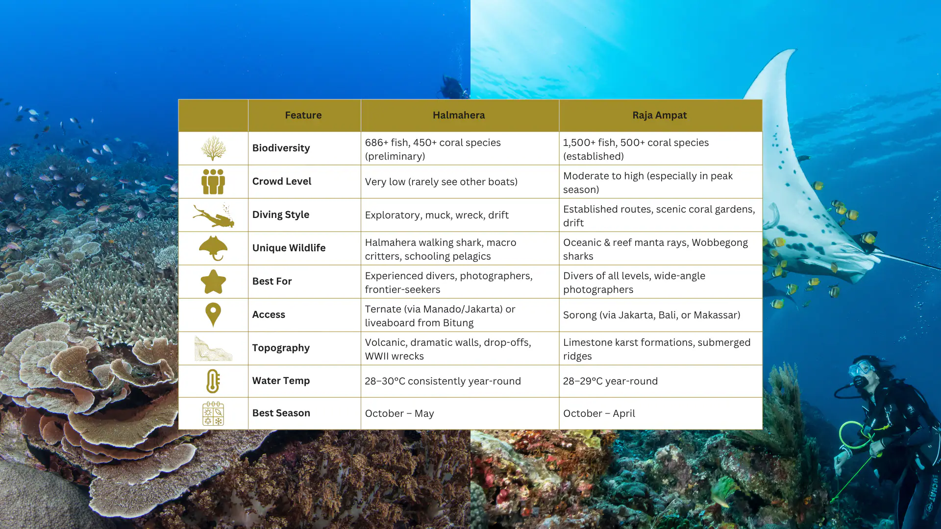 Halmahera vs Raja Ampat: Quick Comparison Guide 