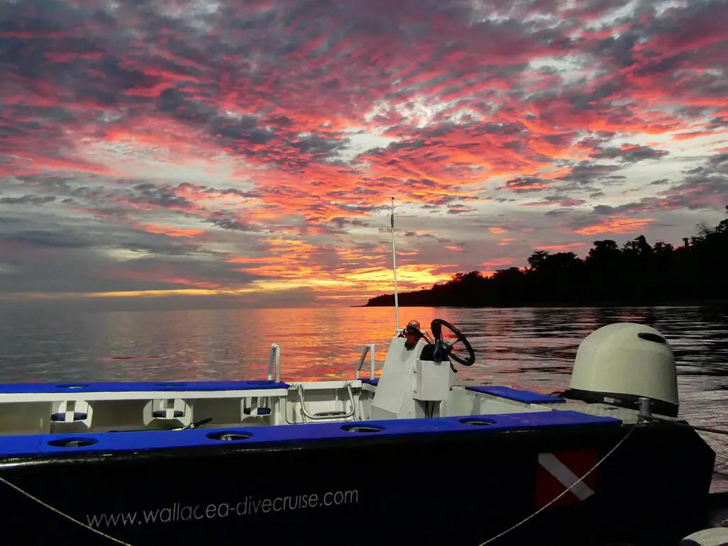 Raja Ampat Sunset | Wallacea Dive Cruise