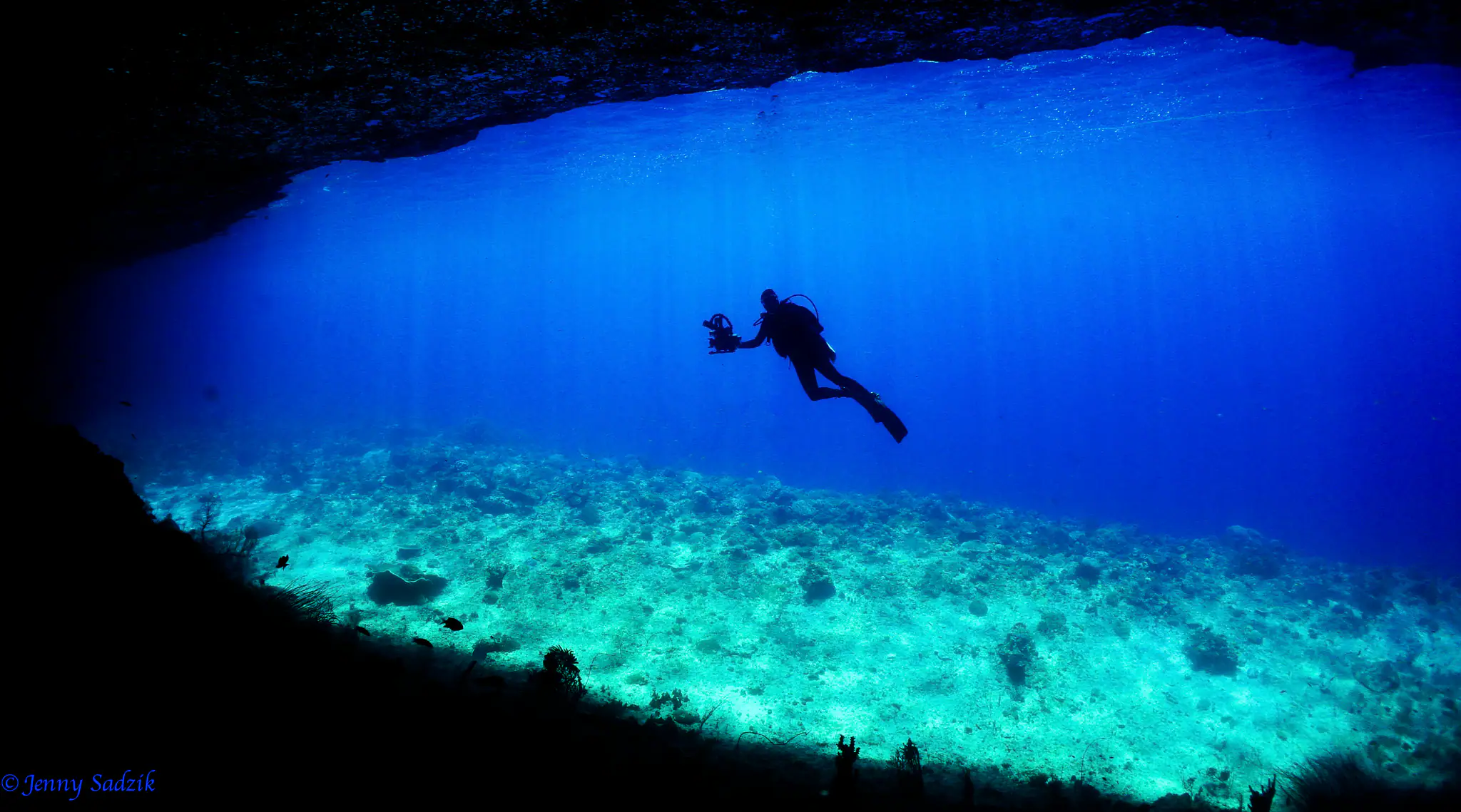 Underwater Photography Experience