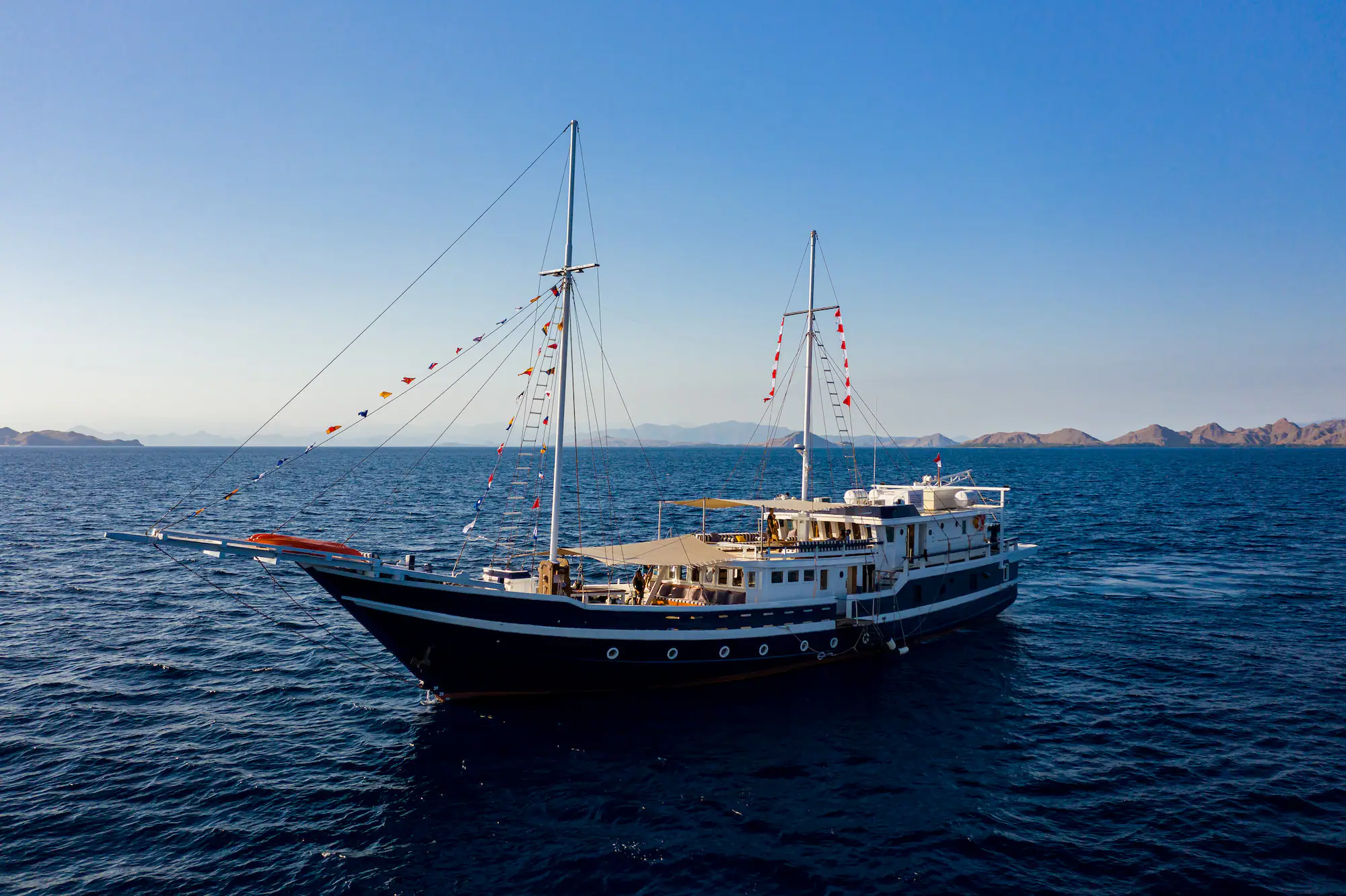 Seahorse Cruising From Halmahera | Wallacea Dive Cruise 