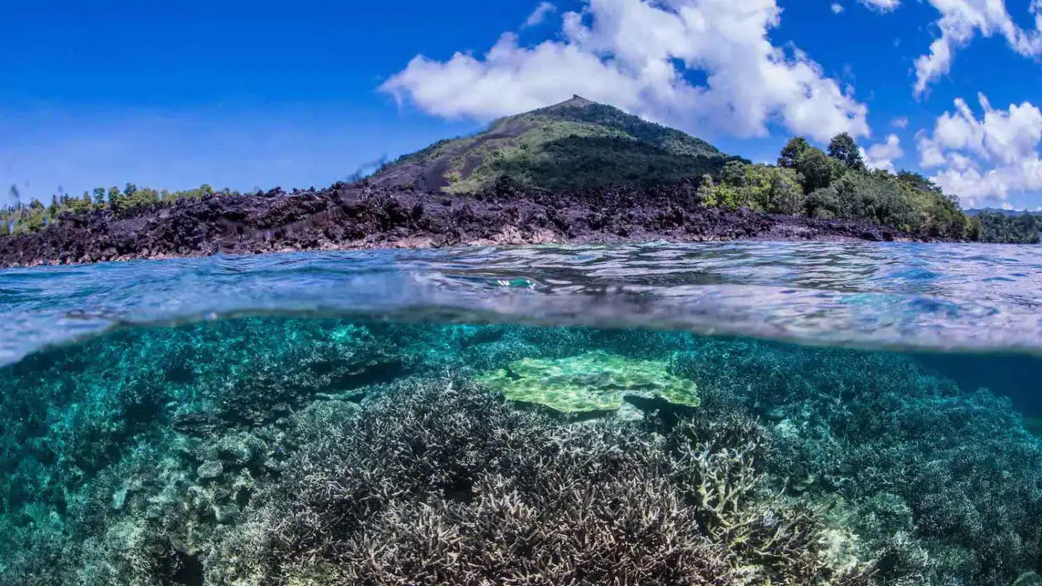 split view, coral reef below, island with hill above, clear water, lush trees, tropical landscape
