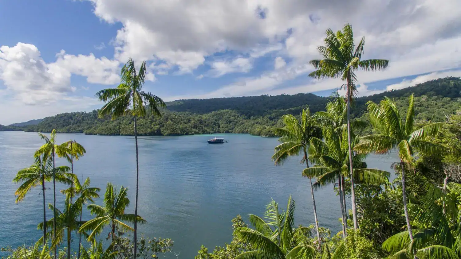 Wallacea Dive Cruises destination, green hills in the background, tropical nature