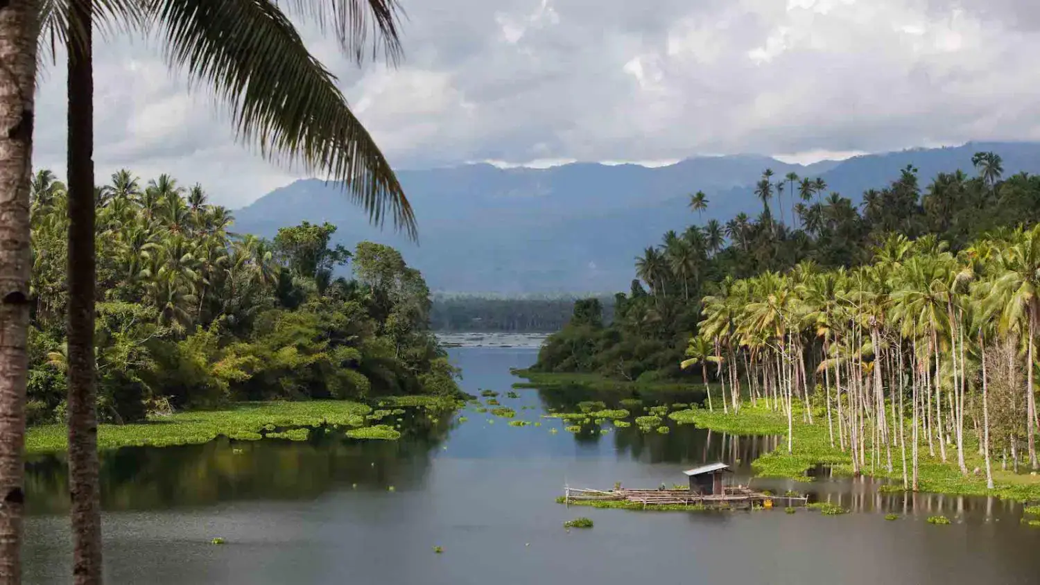 lush greenery, surrounding forest, mountains in background, cloudy sky