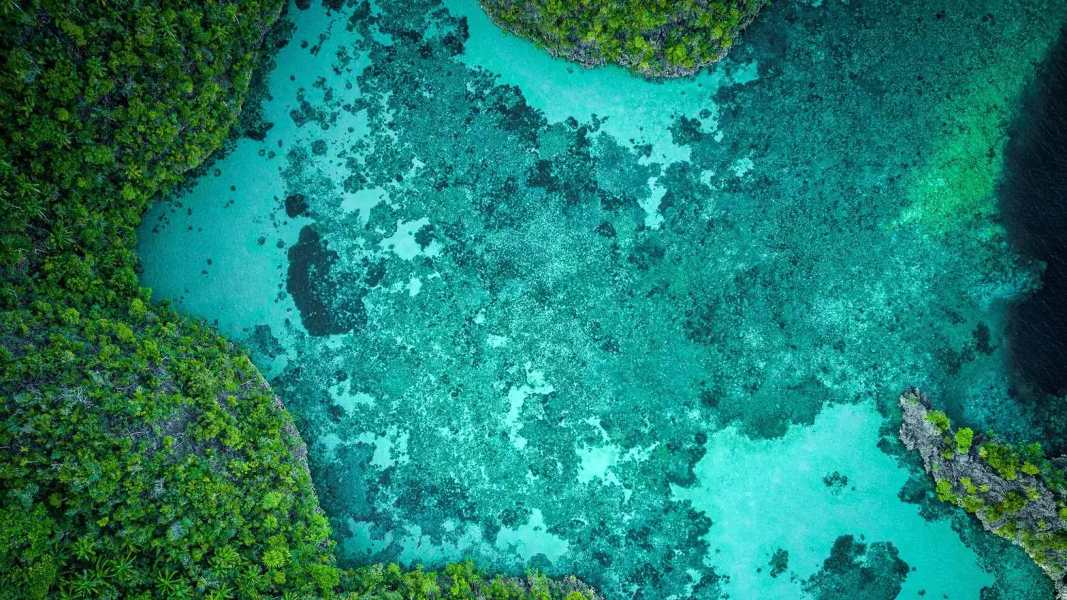 aerial view of a turquoise coral reef lagoon surrounded by tropical forest, shallow clear water 