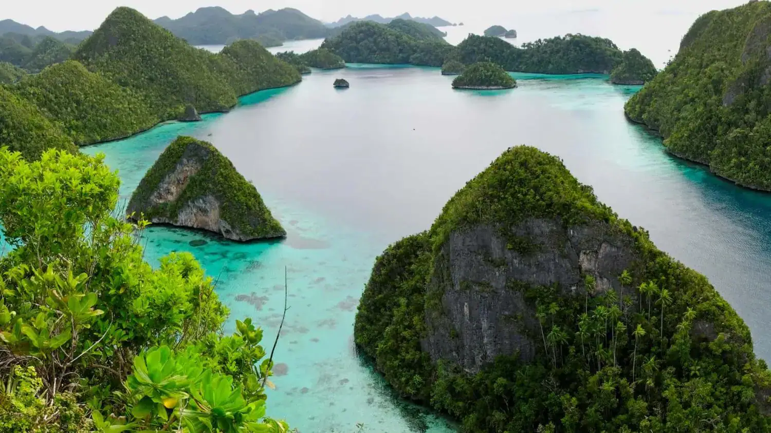 wallacea dive cruises destination Raja Ampat, raja ampat archipelago, green hills, remote place, beautiful landscape