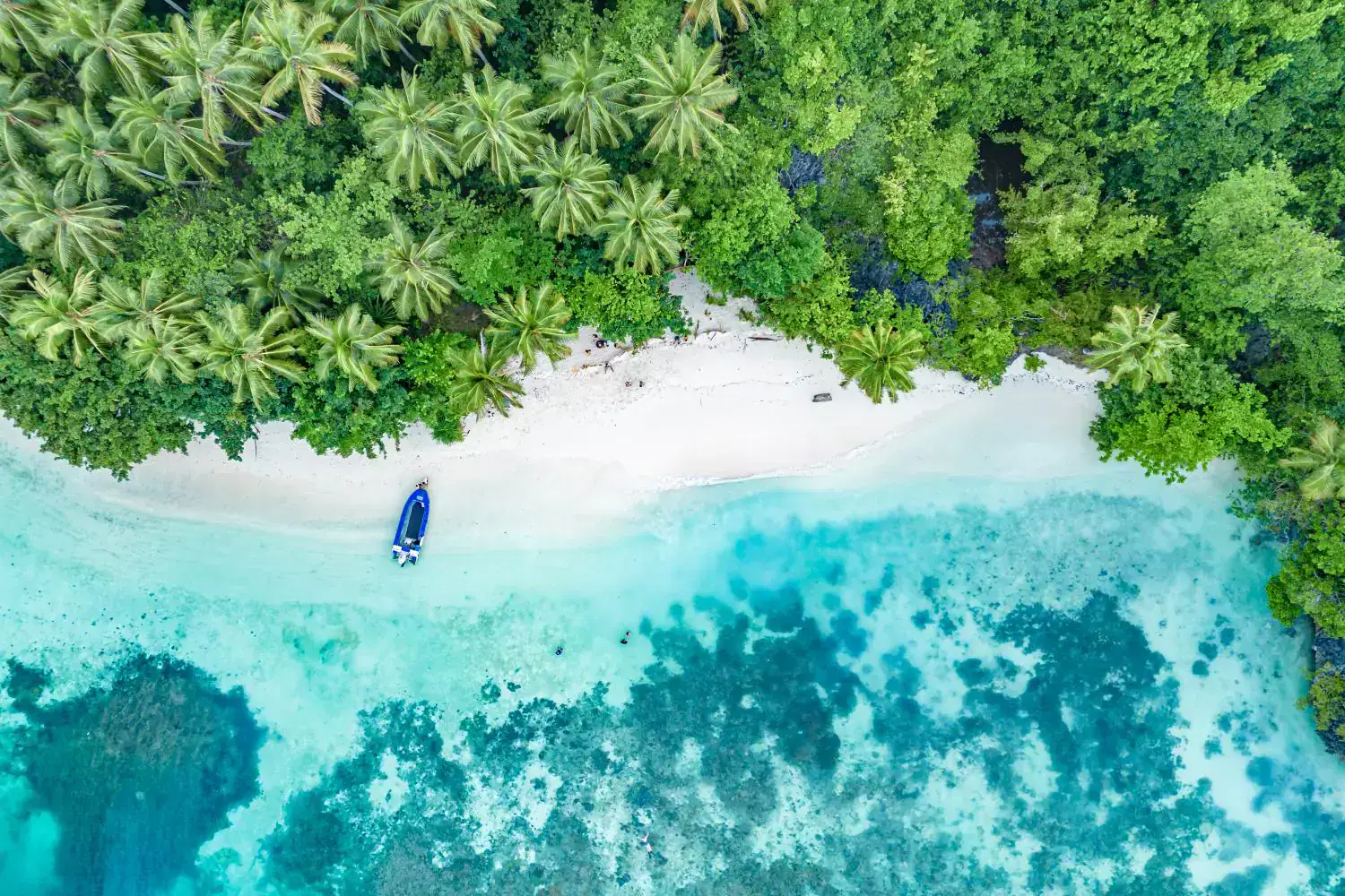beach view, crystal clear water, greenery, white sand