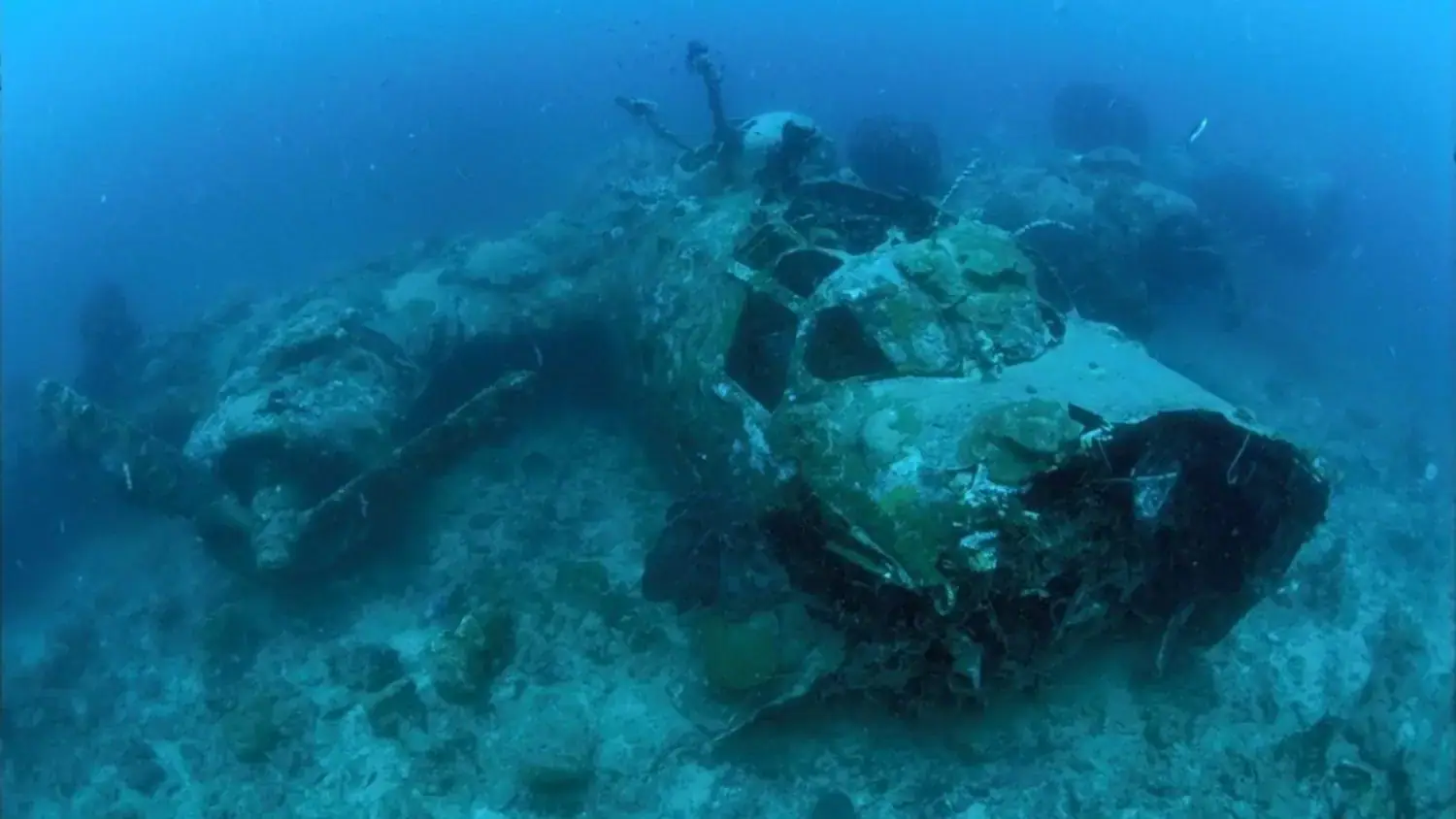 sunken airplane, diving site, fish, scuba diver, deep blue water, underwater exploration