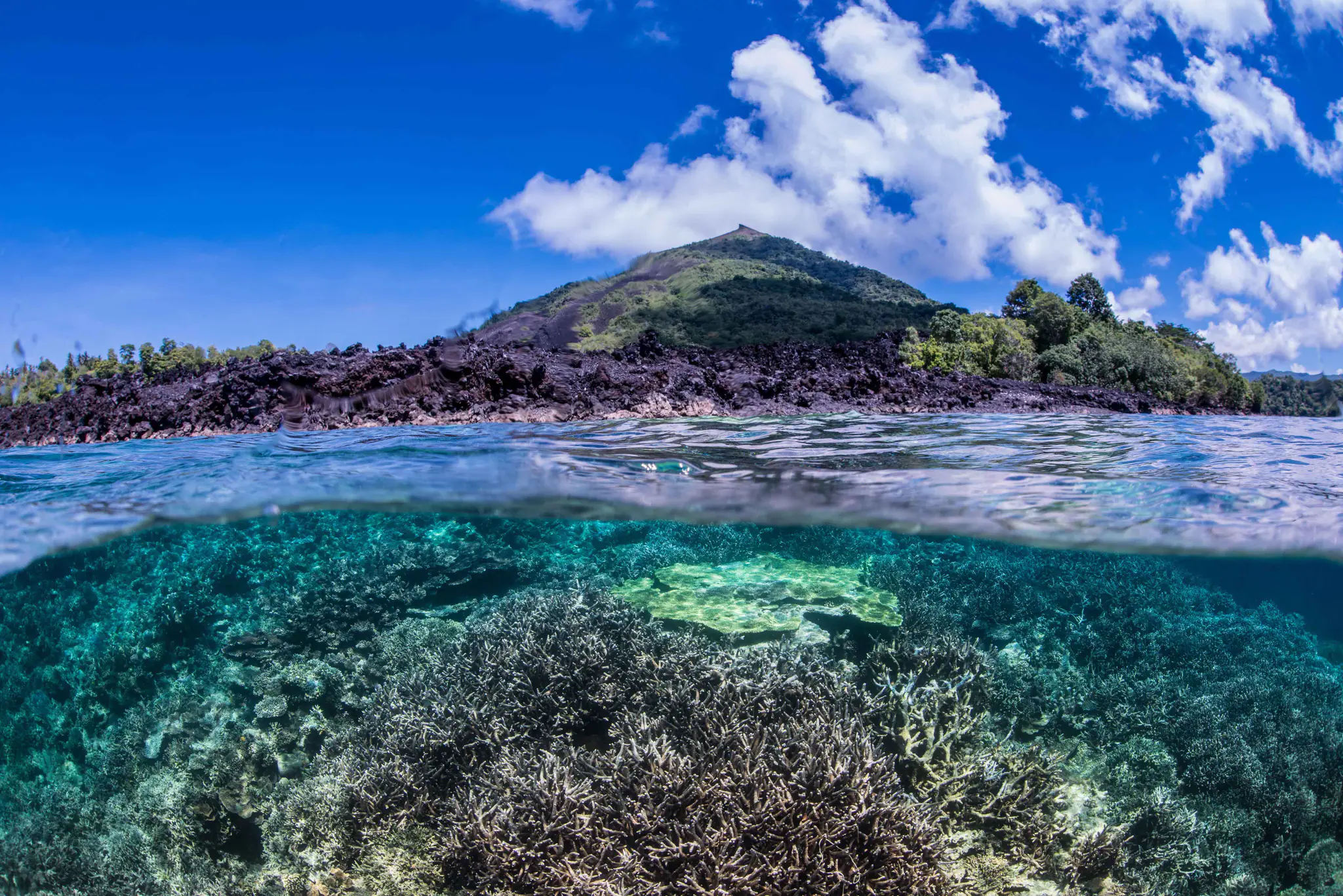 The pristine underwater with mountain view