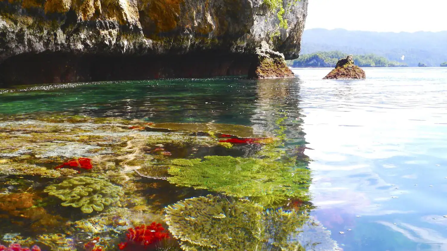 clear water, coral reef, colorful corals, rocky overhang, reflections in the water, calm sea, underwater vegetation, distant islands, natural light, tropical landscape