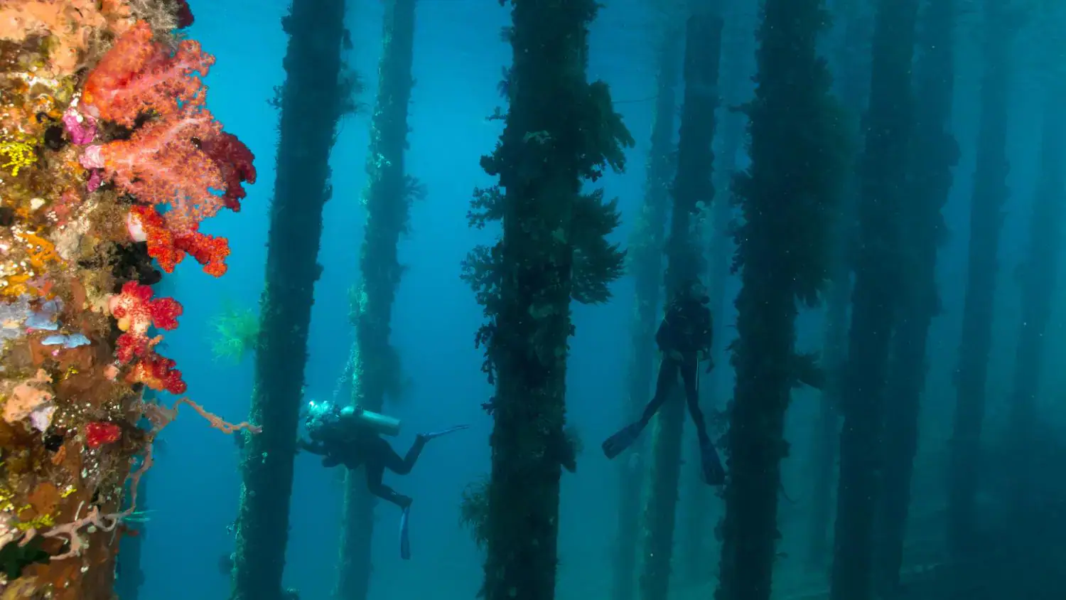 Underwater, Divers, Diving, Deep blue water