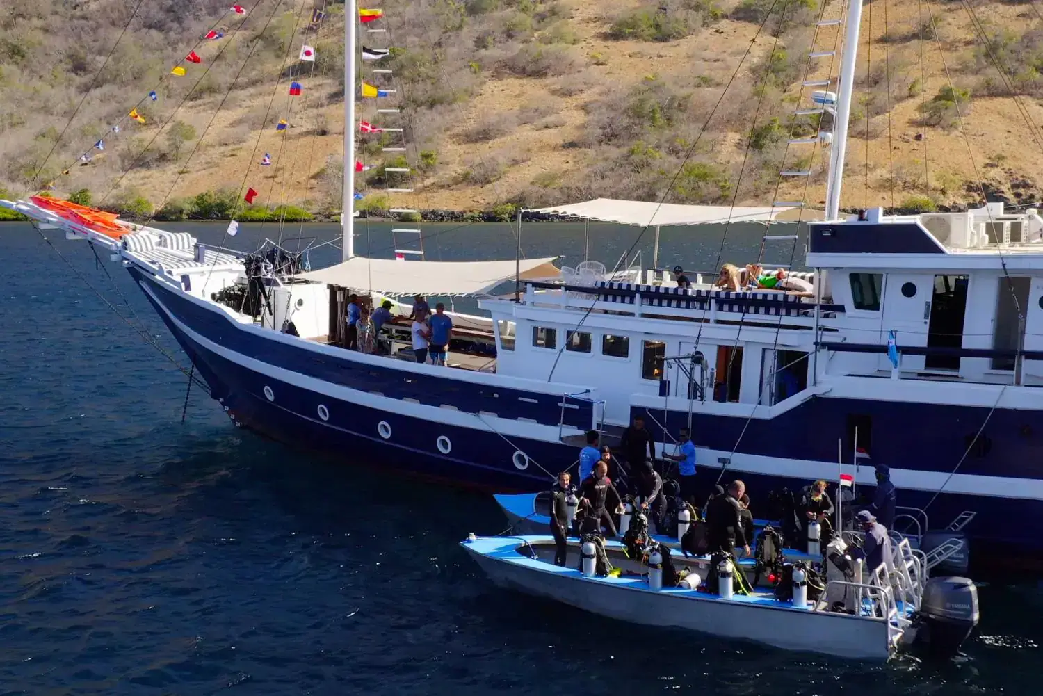 dive preparation, divers getting ready, zodiac, drone view