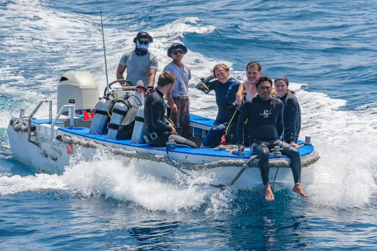 activity diving, diving preparation, zodiac, clean blue water