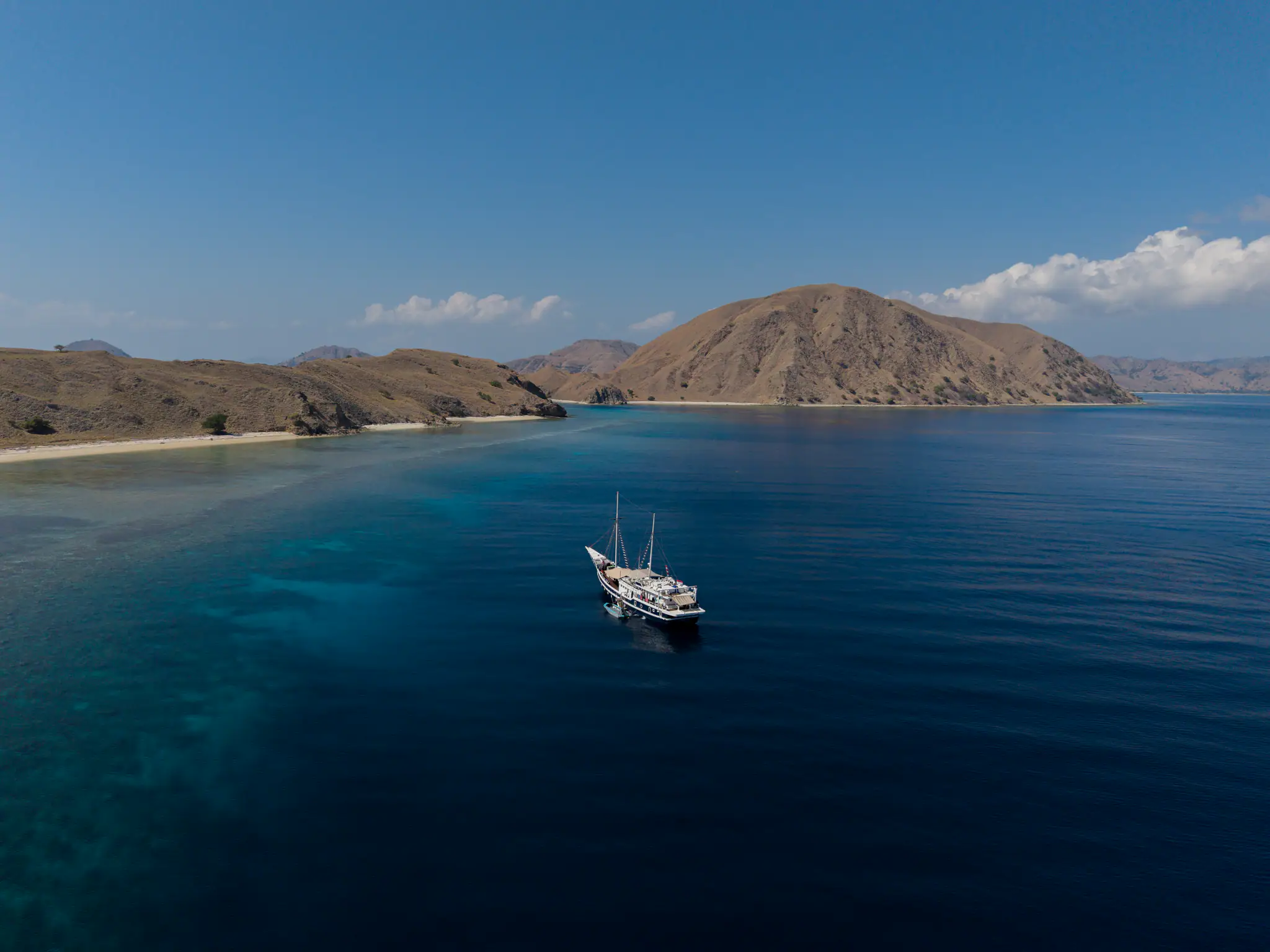 MSY Seahorse by Wallacea Dive Cruise