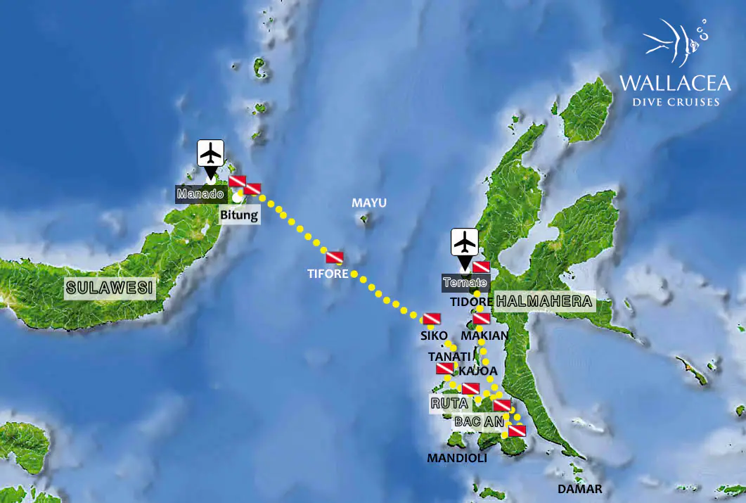 halmahera-lembeh-strait-11-nights