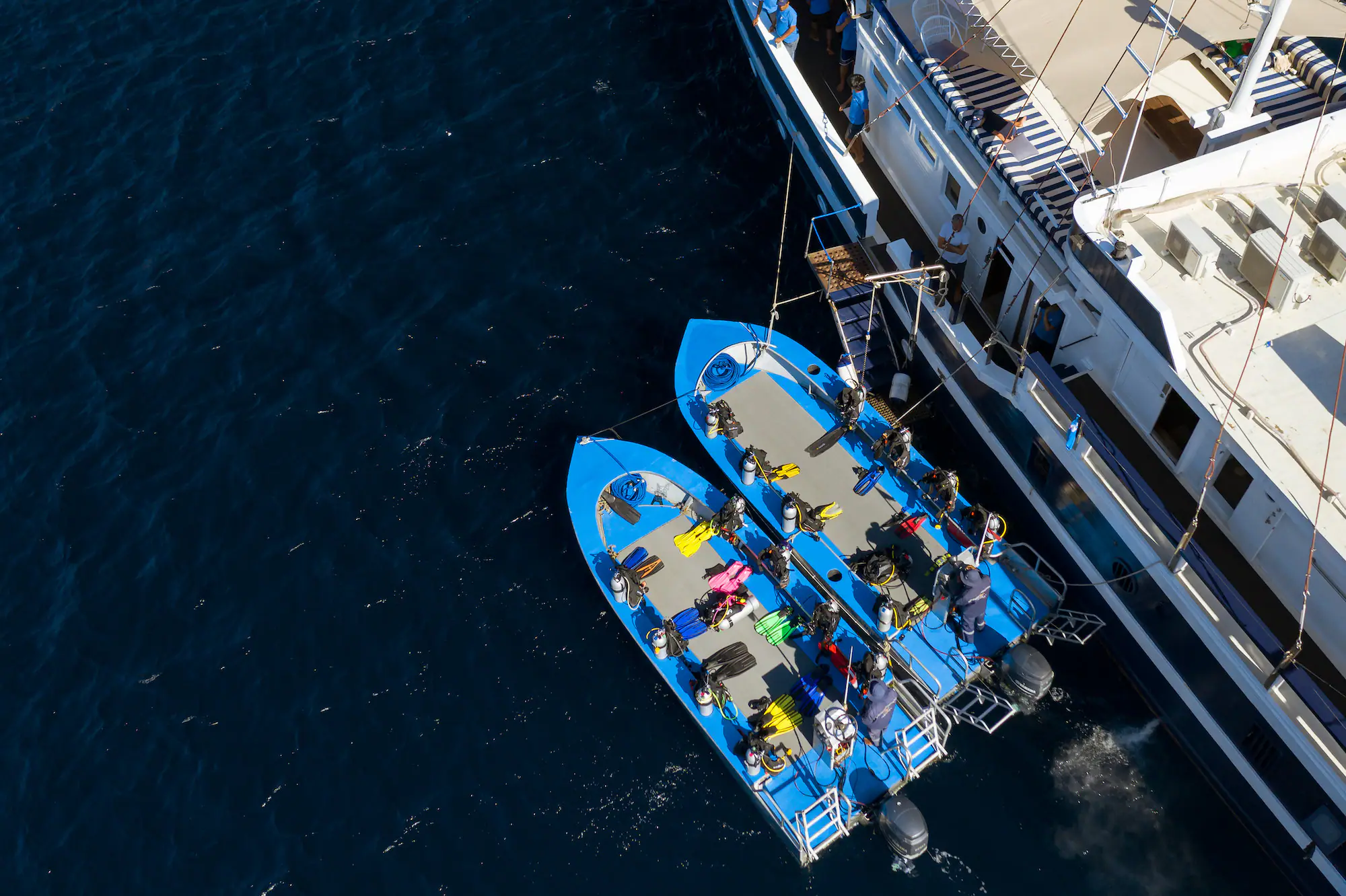 Liveaboard Experience on Seahorse, Wallacea Dive Cruises
