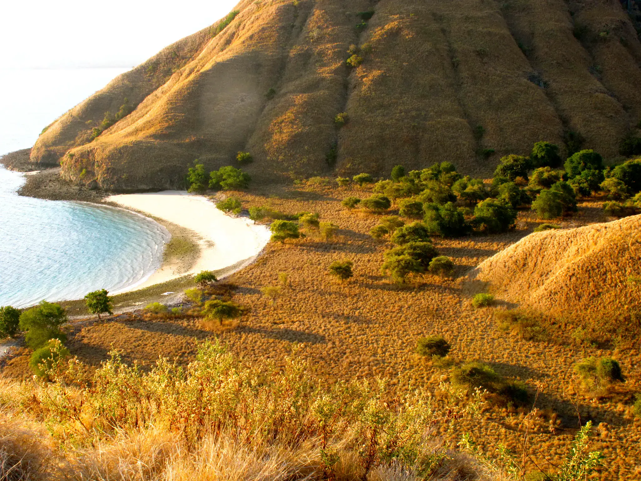  golden hills, sandy beach, blue water, dry landscape, coastal view, sunset light