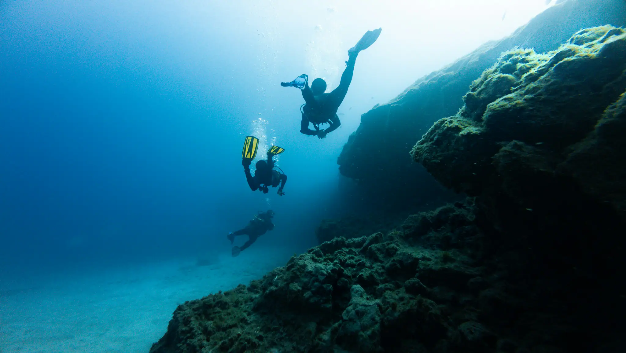 Blue Water Diving | Wallacea Dive Cruise