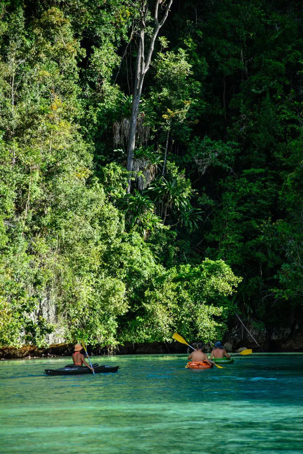 boat activities, kayaking, green hills in the background, clear water