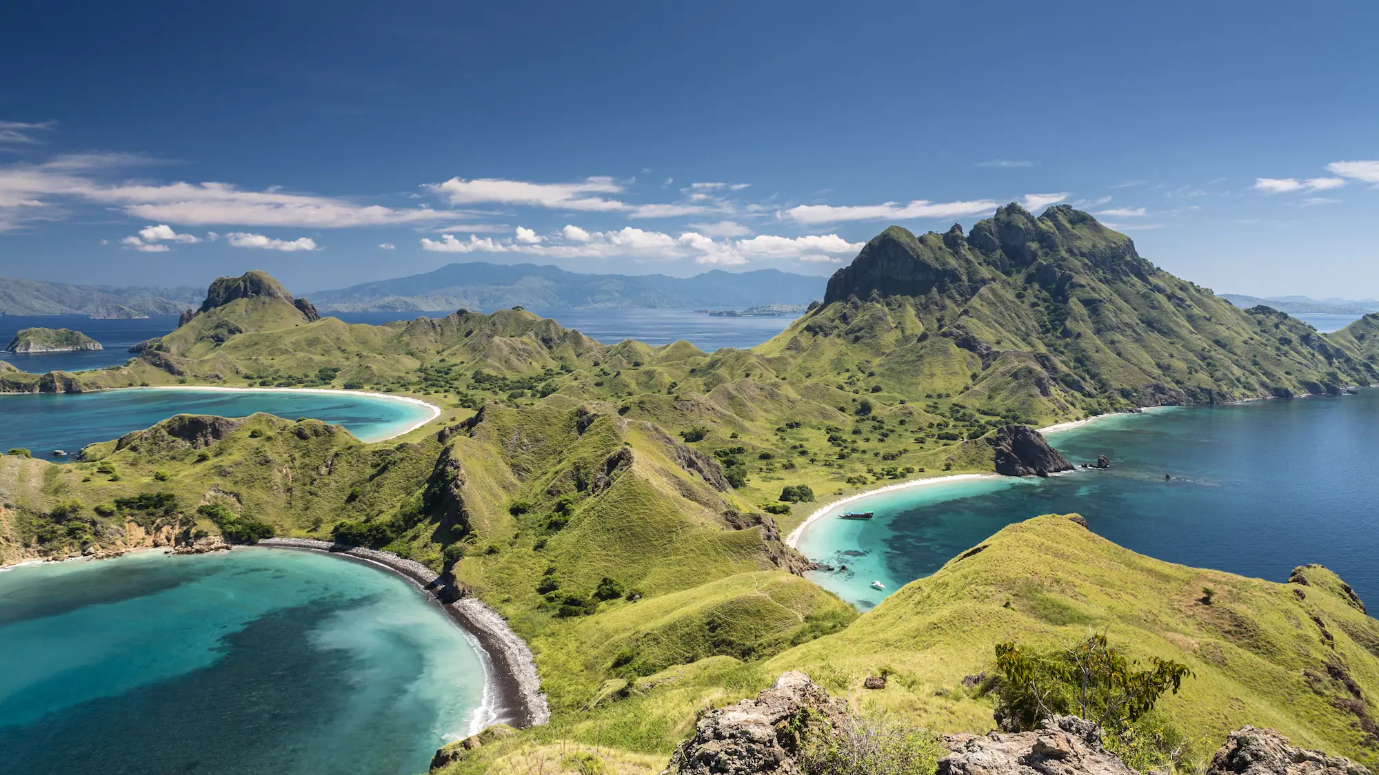 Komodo image 