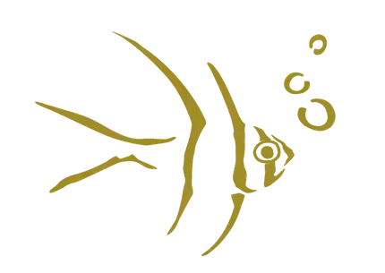 logo-yellow