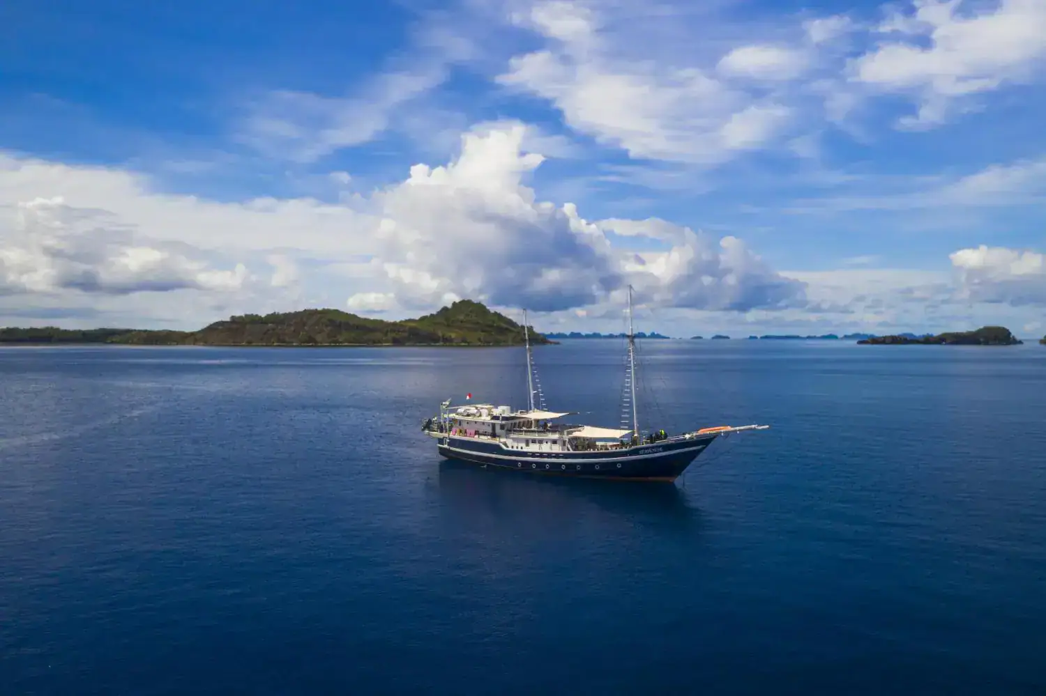 sailing seahorse, landscape view, clear sky, deep blue water, greenery in the background
