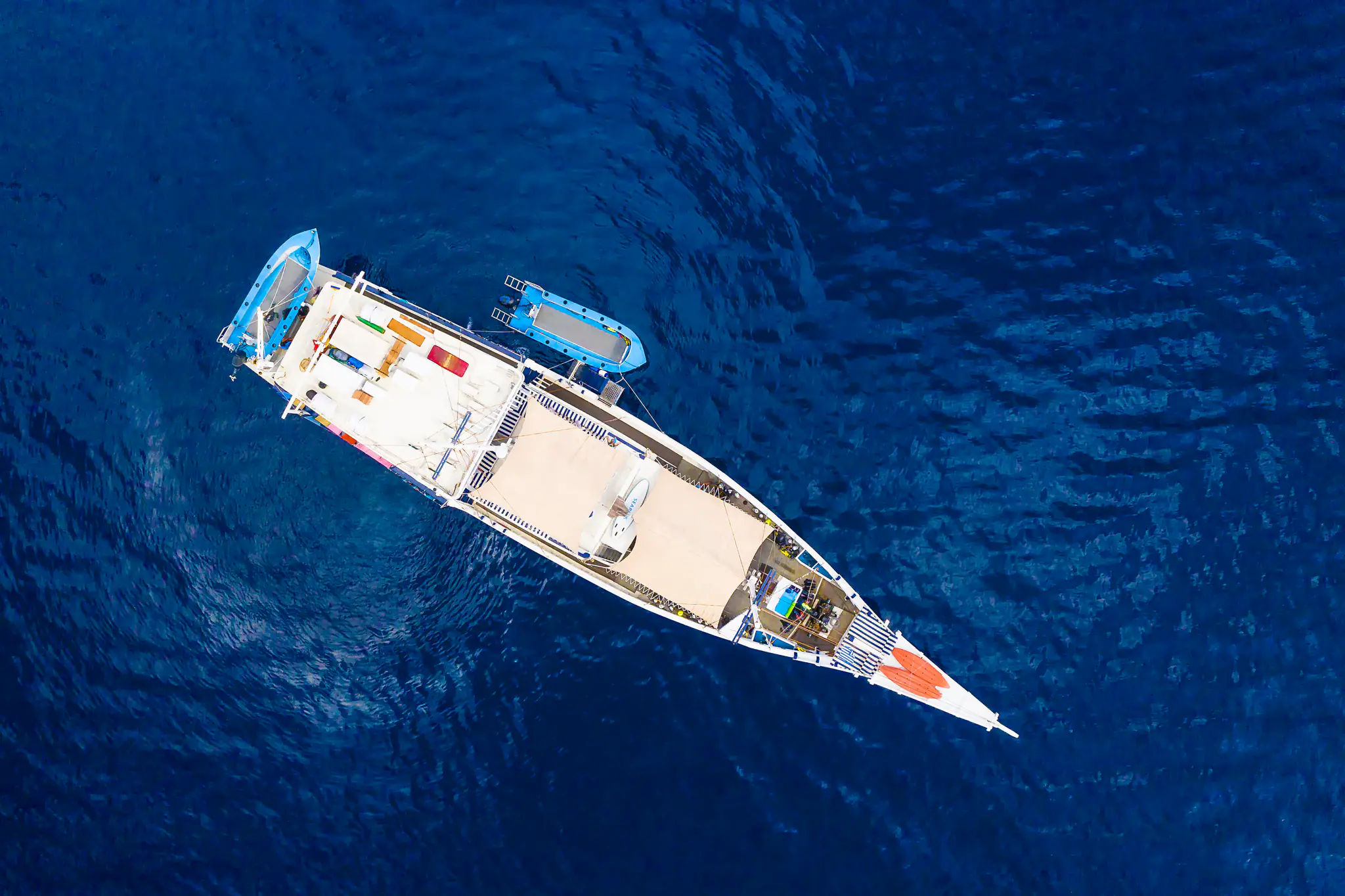 Aerial View of Seahorse | Wallacea Dive Cruise