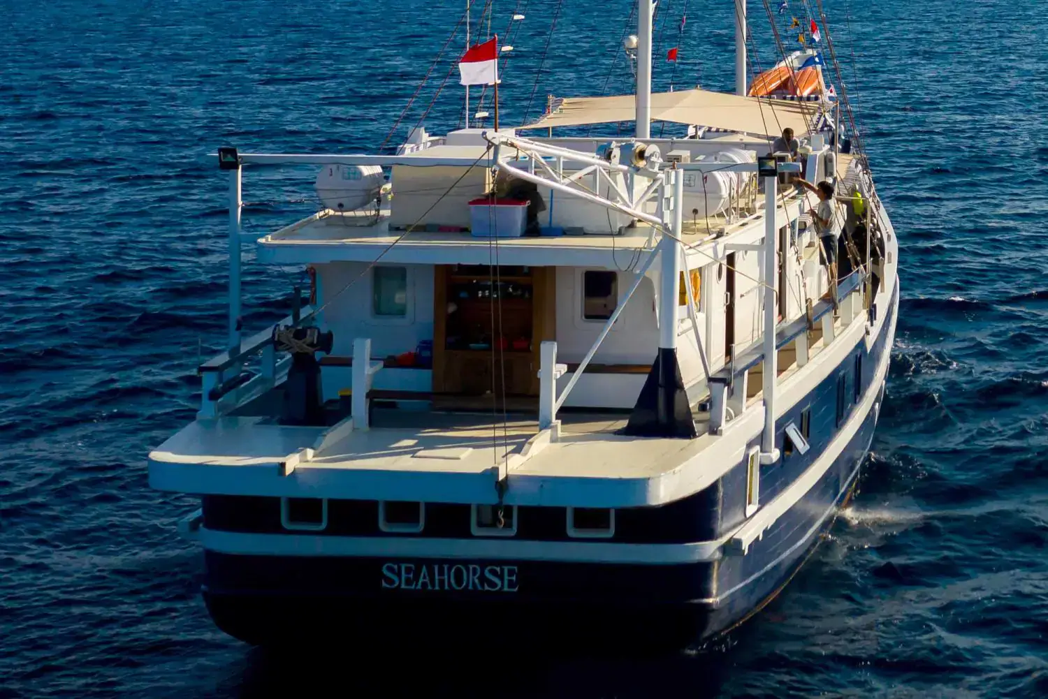 seahorse view from behind, aft deck, stare surrounding, vessel details