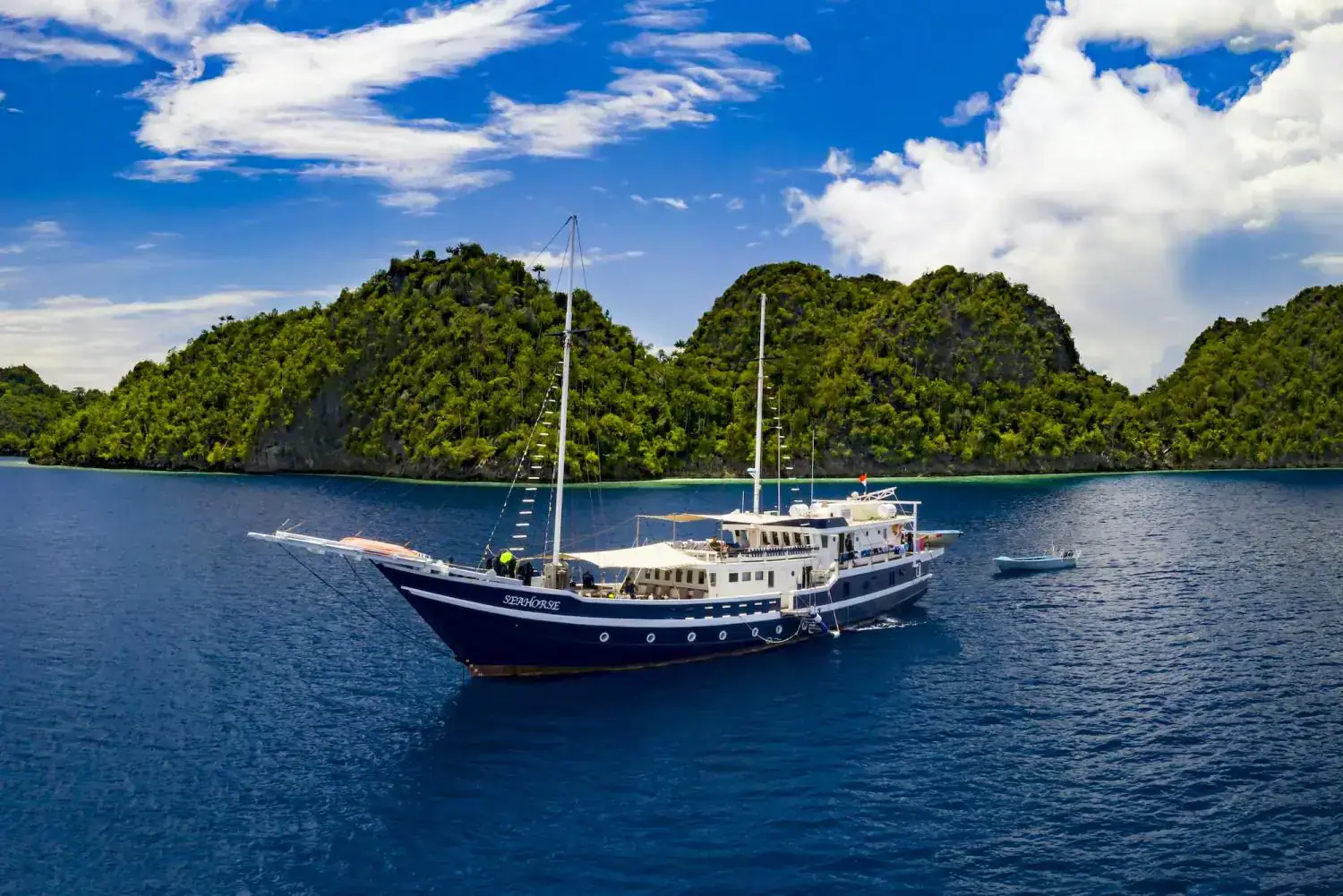 seahorse sailing, calm water, green hills in the background, blue sky, tropical landscape
