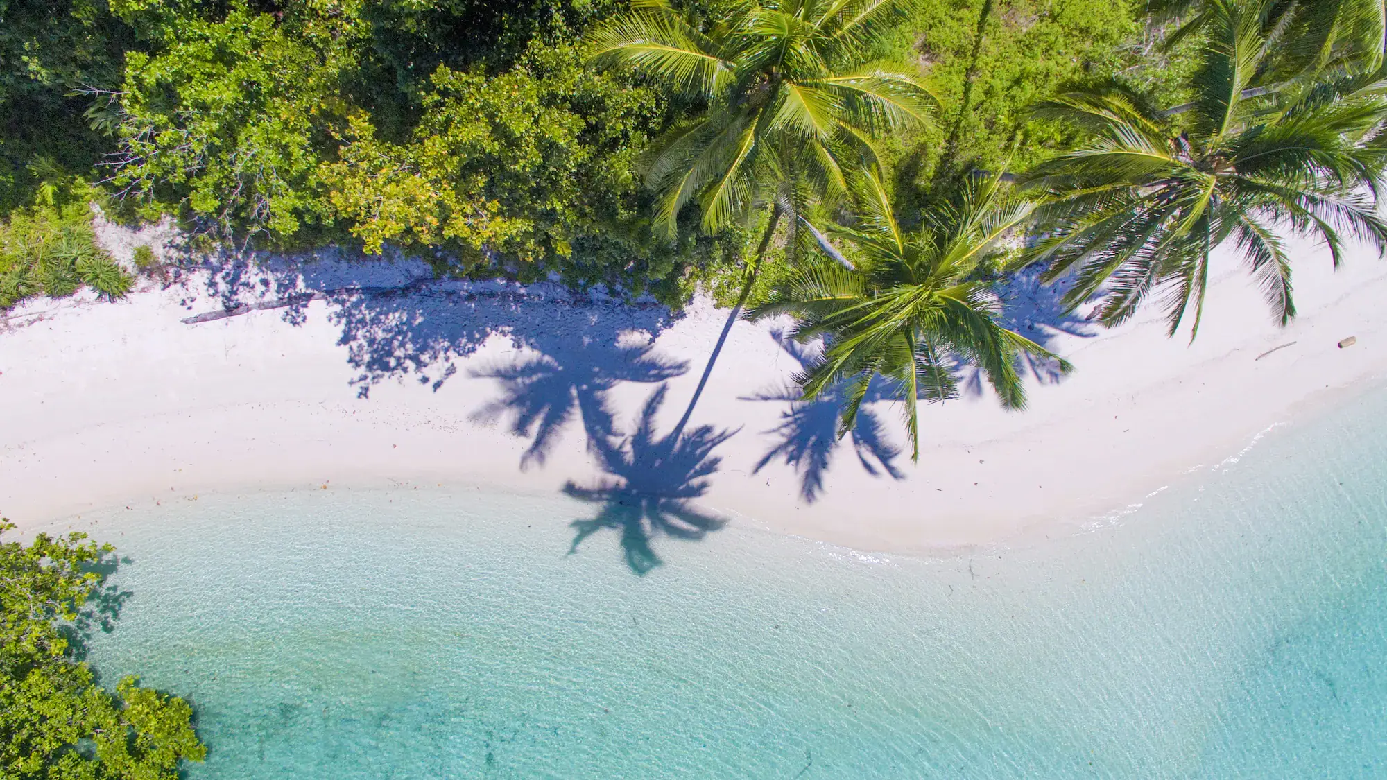 luxurious nature, white sand beach, greenery, crystal clear water, tropical landscape
