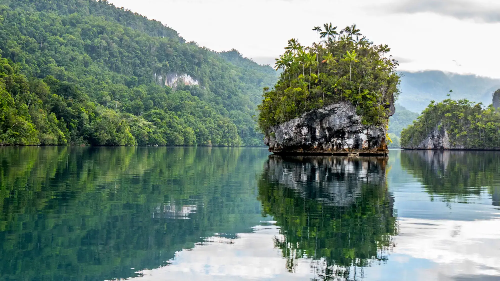 calm water, floating rock, greenery, island reflection, peaceful nature, tropical landscape