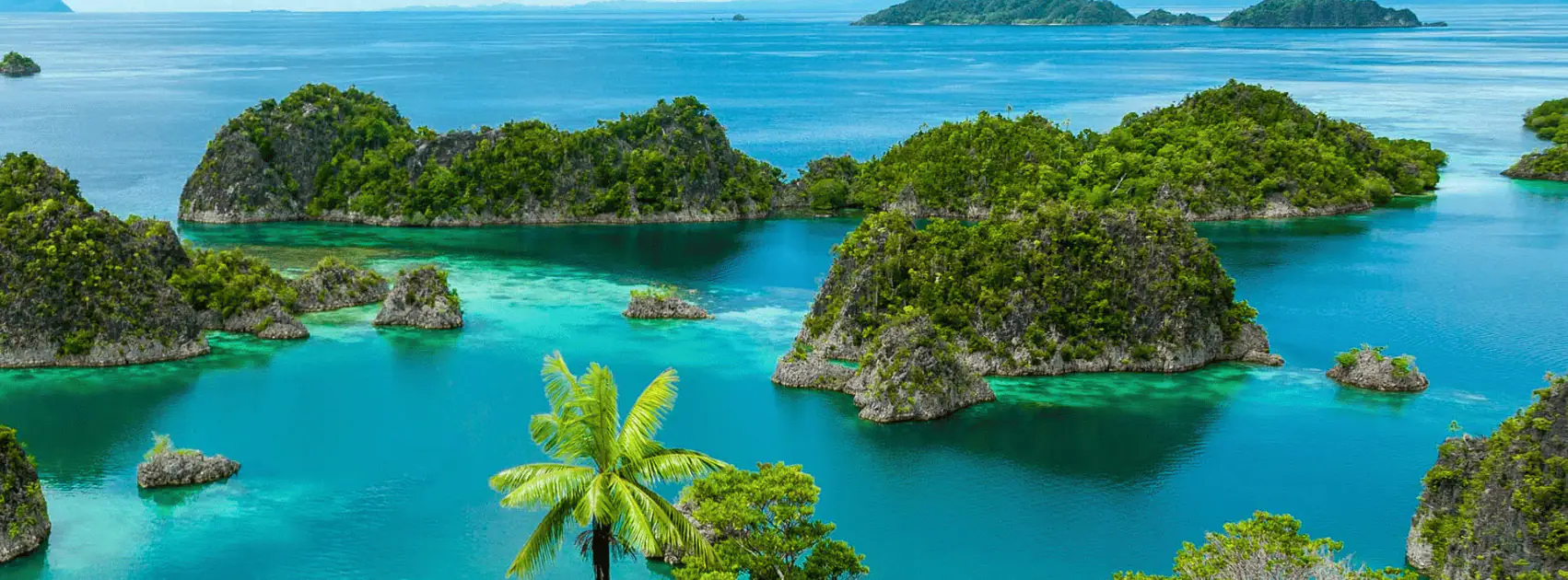Best Time Visit Raja Ampat | Wallacea Dive Cruise