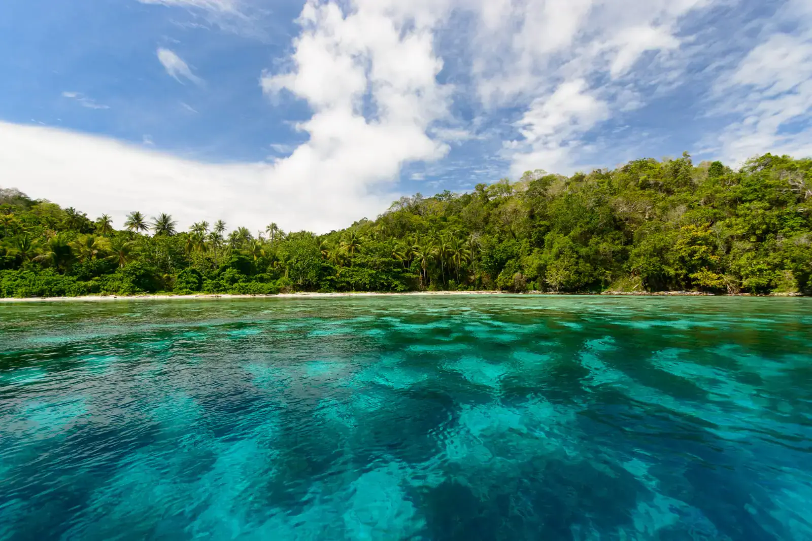Wallacea destination, Remote area, Greenery, Beach, Crystal clear water