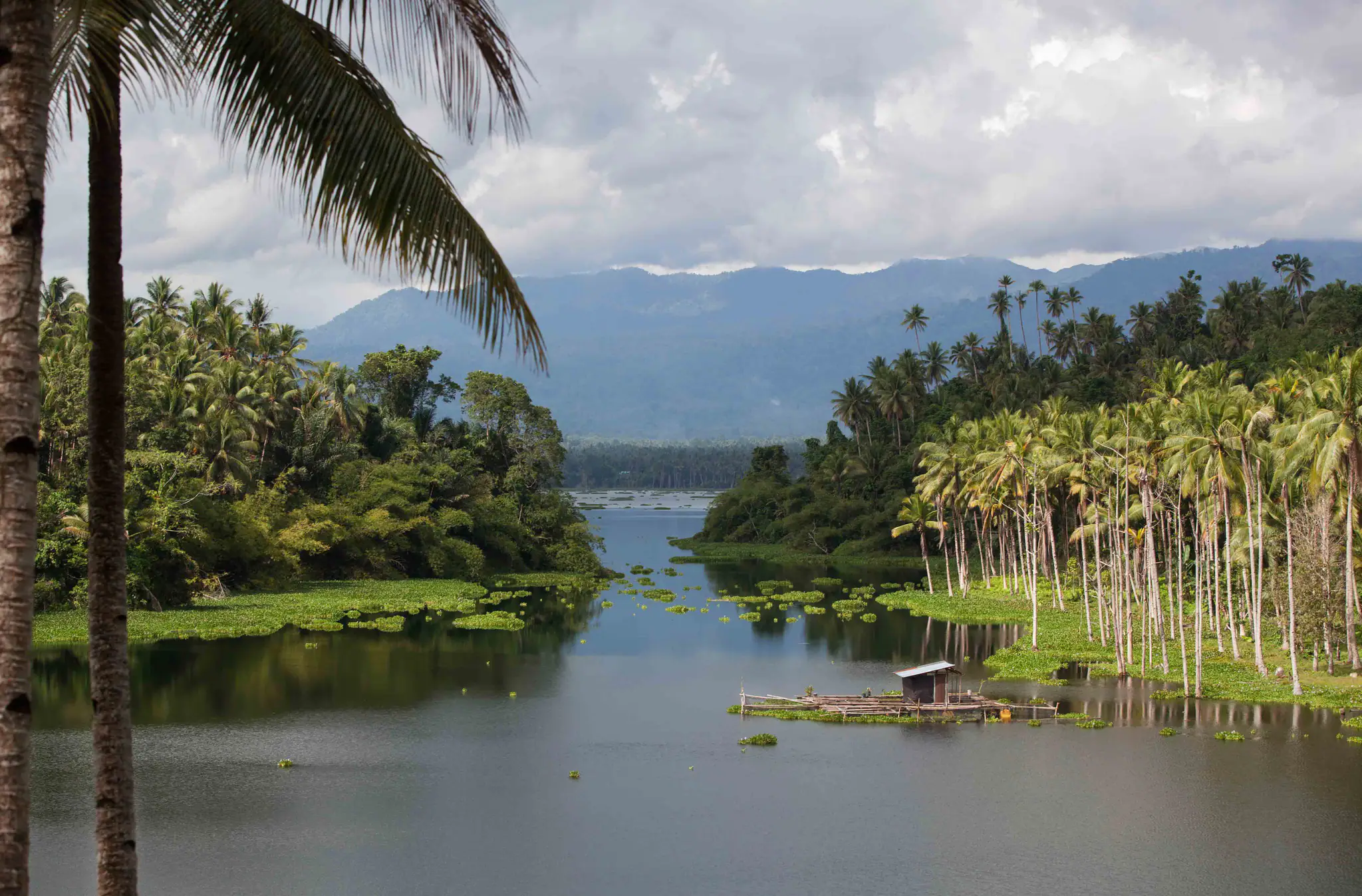 Untouched Nature and Abundant Wildlife in Bacan Archipelago