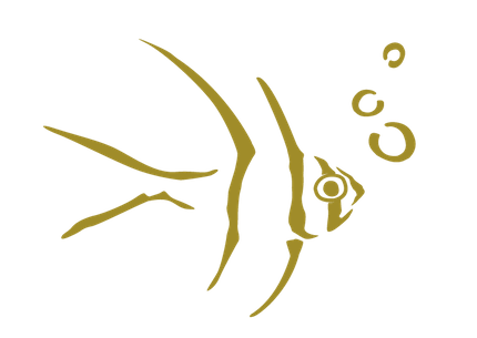 CMS Logo