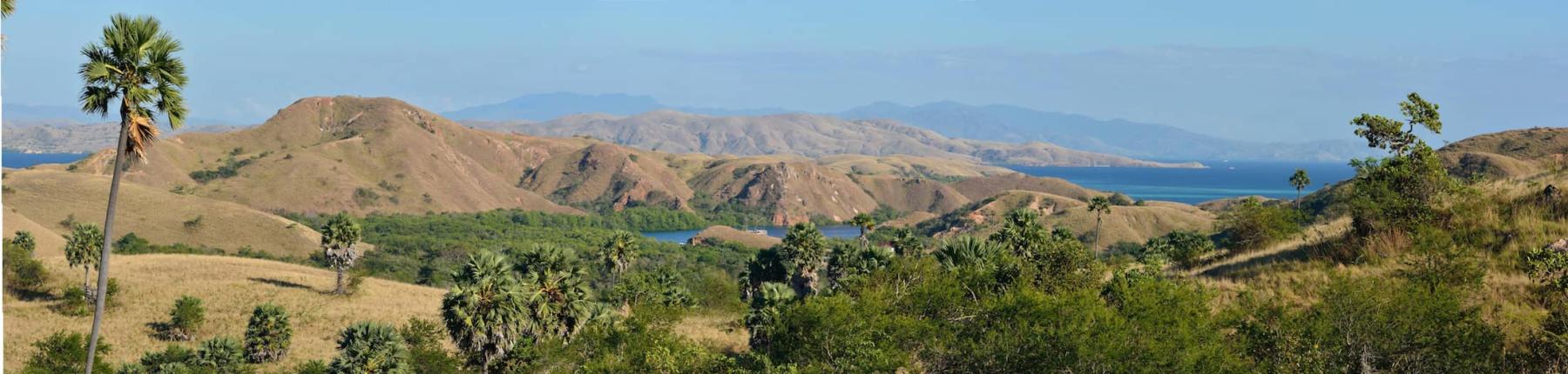 Komodo Liveaboard - Rinca
