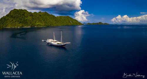 Raja_02_drone-2024-Pano-2-Edit-2.jpg