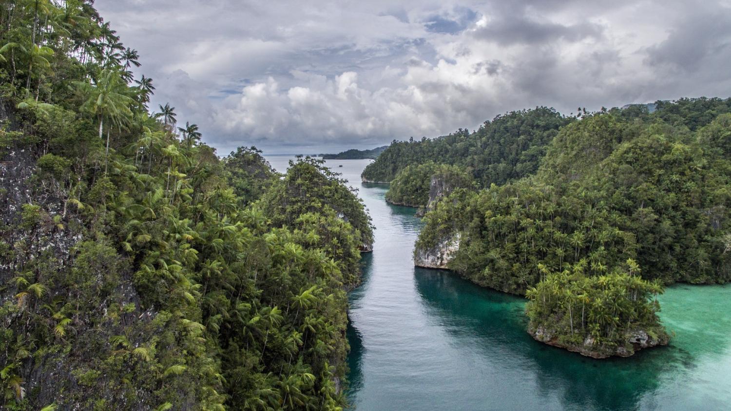 Triton Bay liveaboard