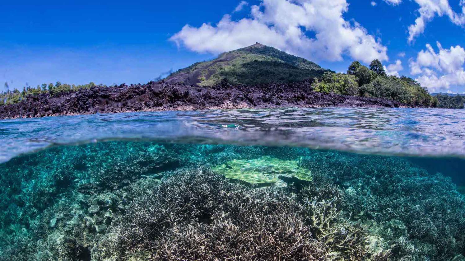 Diving Halmahera