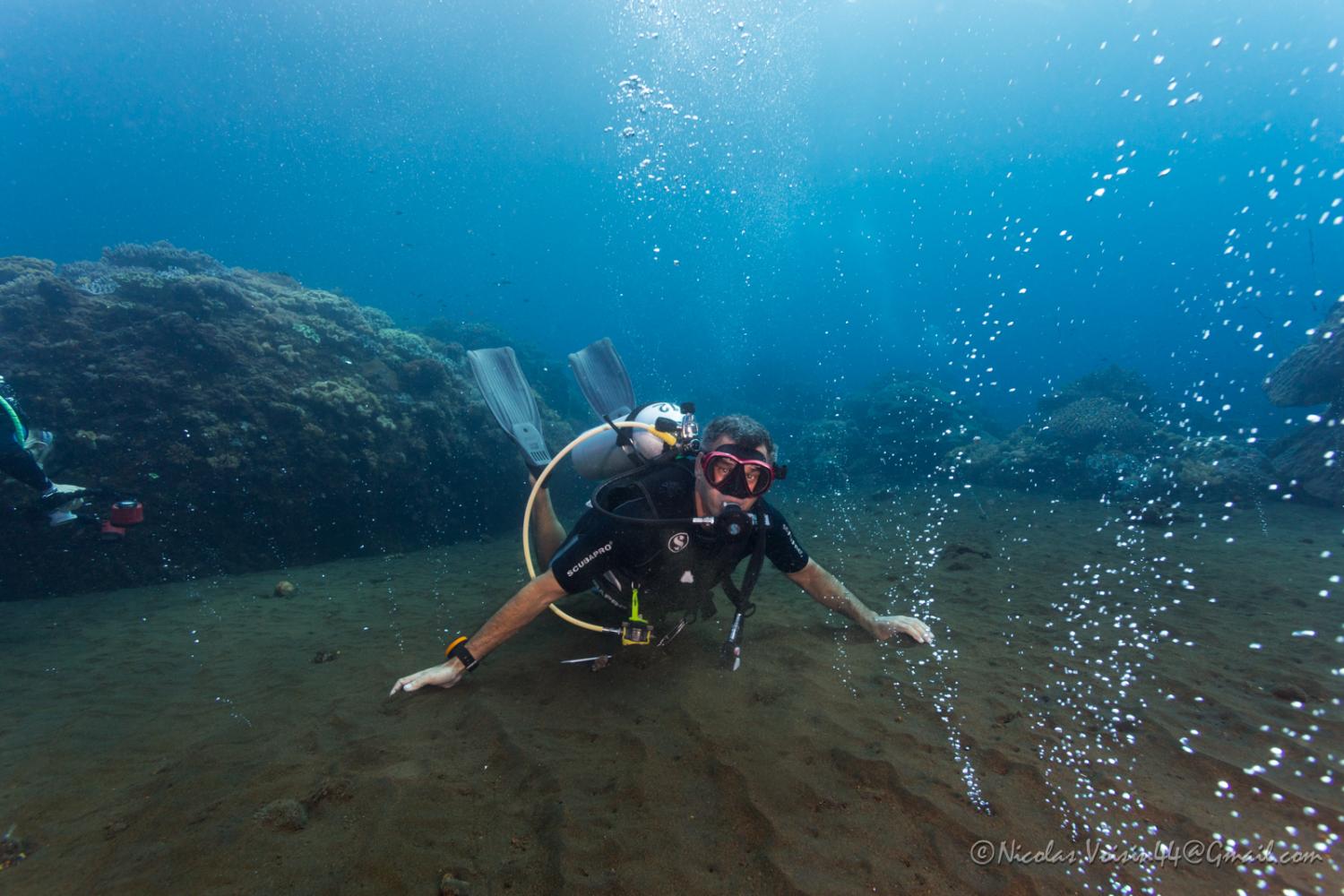 Sangean bubble reef.jpg
